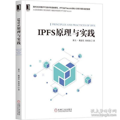 ipfs原理与实践 ipfs应用开发技术方法网络通信 专业科技ipfs技术 ipfs工作原理底层基础协议栈和架构书 计算机网络软件开发书籍